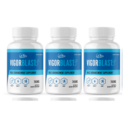 Vigor Blast Male Advancement Supplement 12 Bottles 720 Tablets