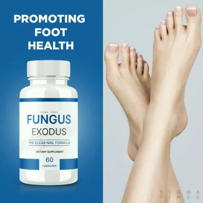 Fungus Exodus Pills to Combat Toenail Fungus and Restore Nail Health 60ct